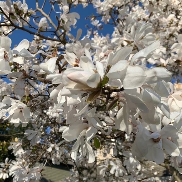 Meet your Posher, Sheila - Picture 11 of 11